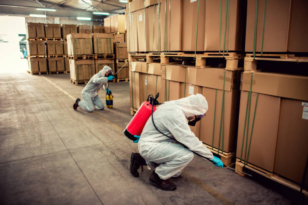 Reliable Collins, MS Pest Control Solutions