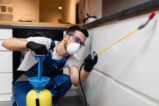 Best Pest Control Cost  in Collins, MS
