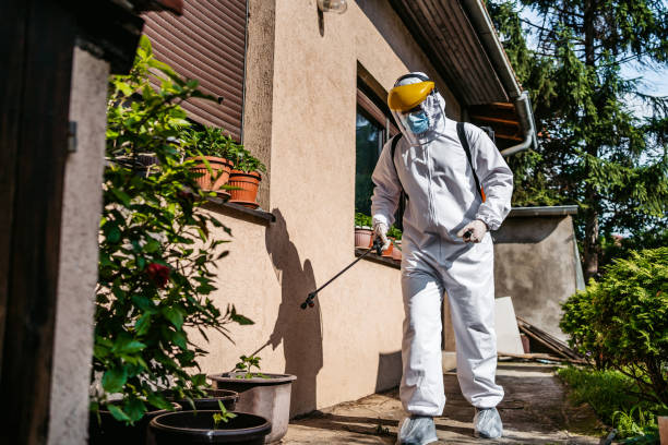 Best Affordable Pest Control Services  in Collins, MS