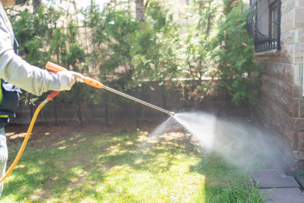 Best Cockroach Control Services  in Collins, MS