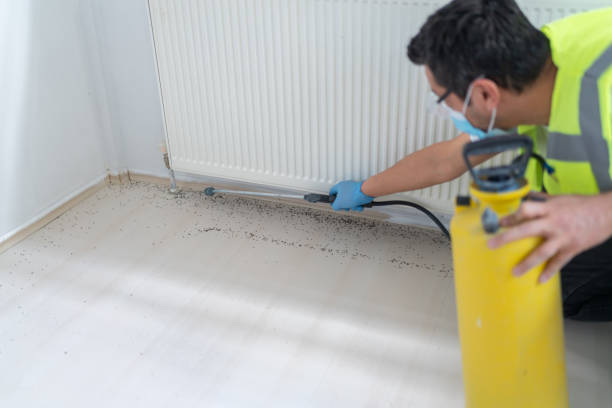 Best Exterminator Services  in Collins, MS
