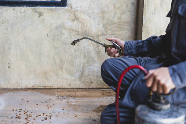 Best Emergency Pest Control  in Collins, MS